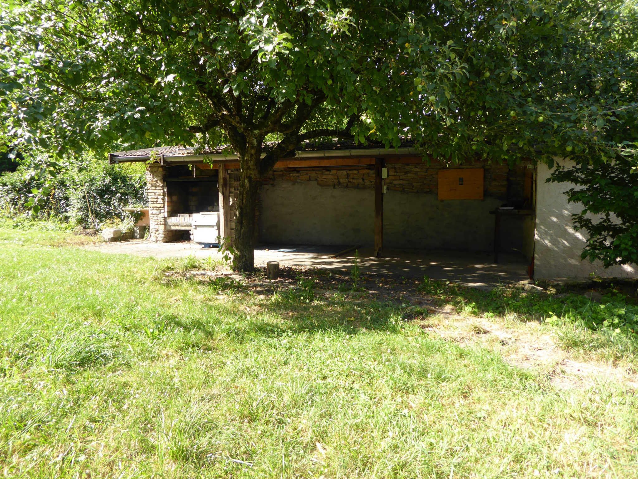 Abri avec barbecue